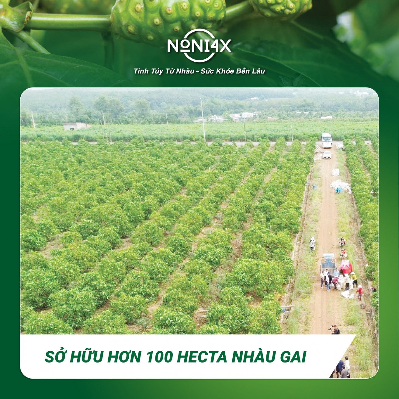 NÔNG TRẠI NONIFARM