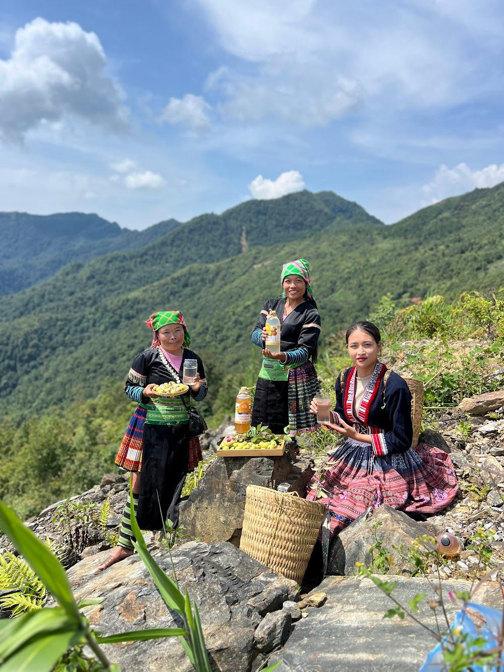 Nguồn táo mèo (sơn tra) – thôn Làng Nhì (xã Phình Hồ) & HTX Nông sản Púng Luông