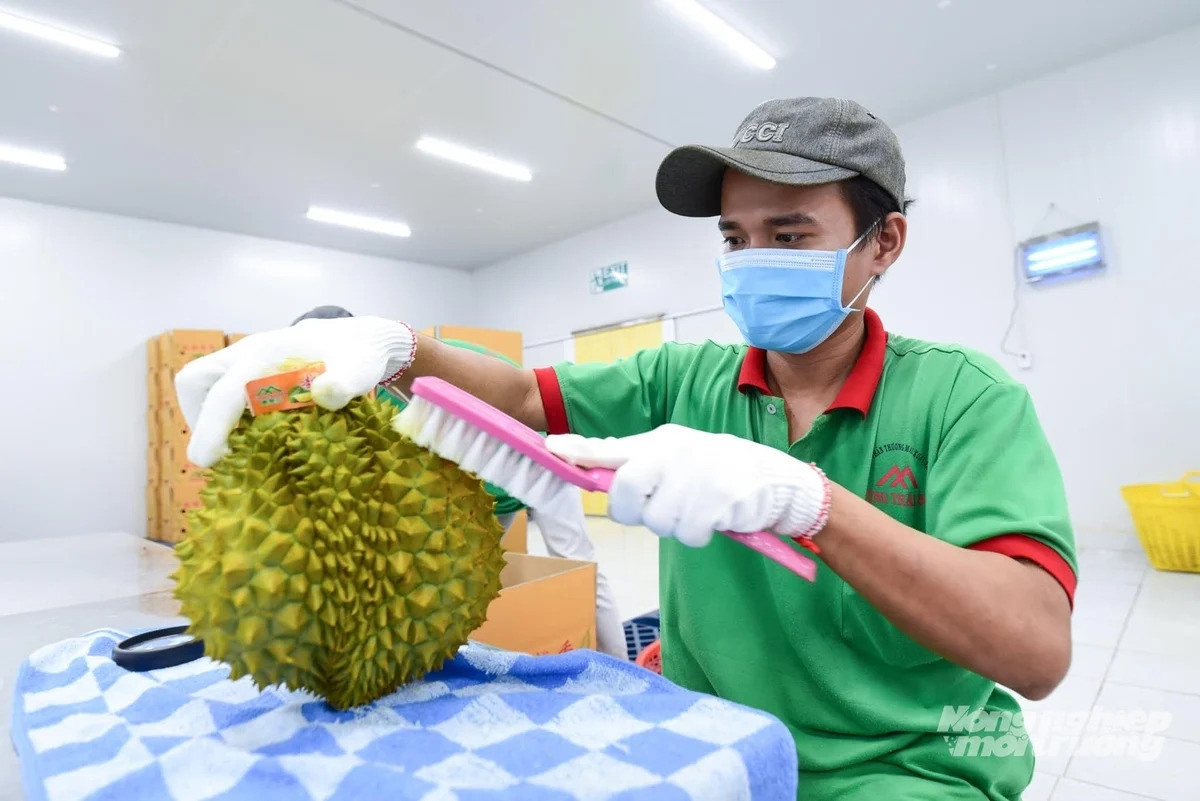 Cập nhật cơ sở kiểm nghiệm Cadimi và vàng O được Trung Quốc chấp nhận