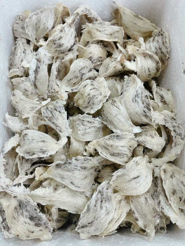 PHAN THỊ TUYẾT 33-PTT