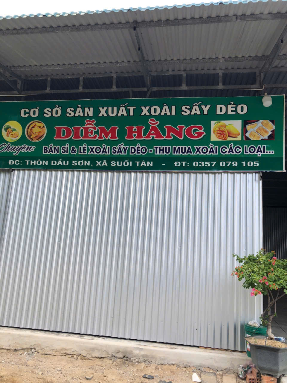 VÙNG SẢN XUẤT XOÀI SẤY DIỄM HẰNG