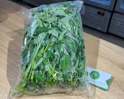 công ty dhn việt nam