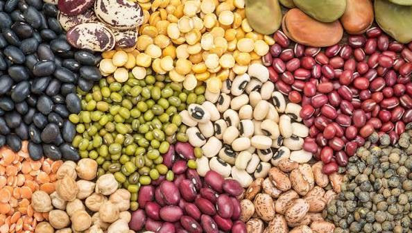 HỘ KINH DOANH CƠ SỞ CUNG CẤP CHẾ BIẾN THỰC PHẨM XANH NAM FARM