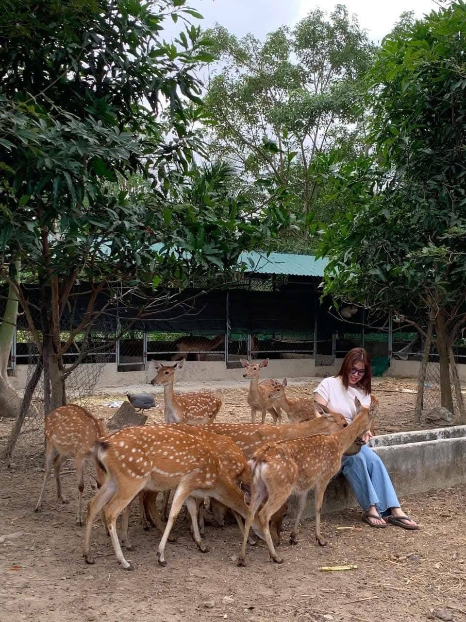 Công ty cổ phần nông nghiệp Themoshav farm